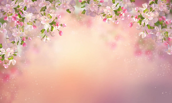 �黯Ψ�����䱳��