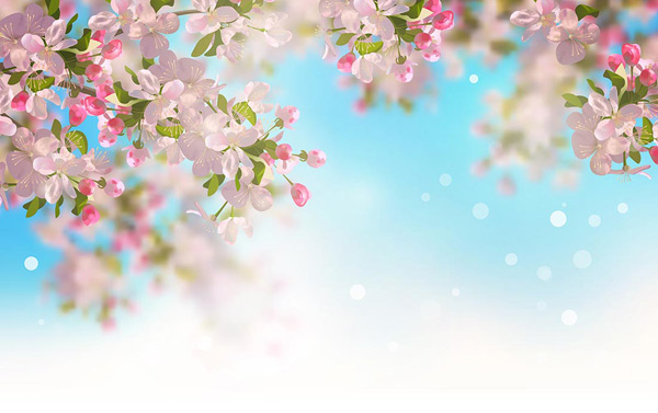 �ʻ���������