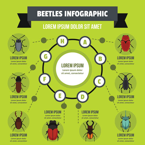 昆虫信息图表
