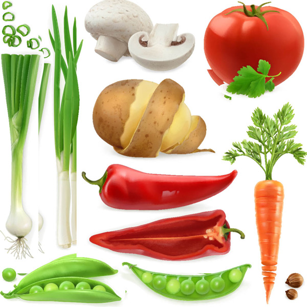 ����ʳƷʸ��