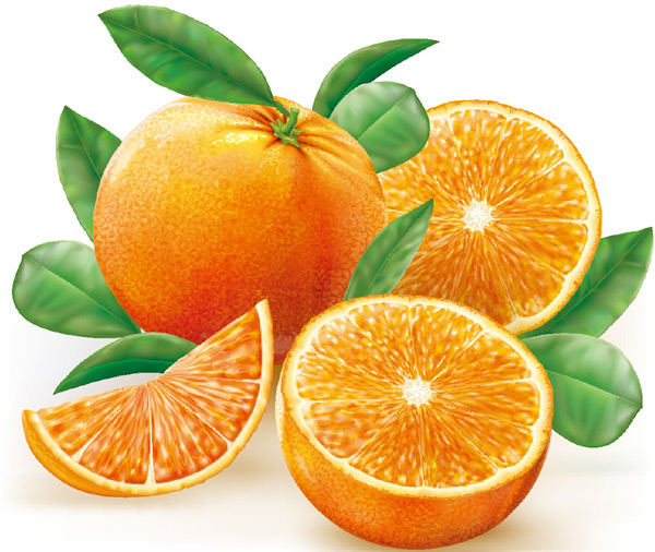 �п������ʳ���