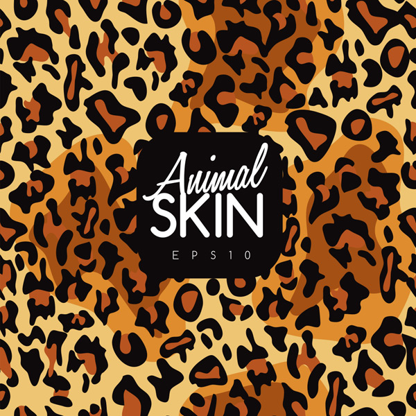 ��Ƥ�����޷챳��