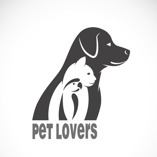 ����С����ʸ��