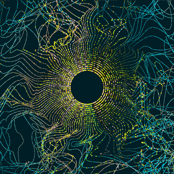 ����Բ����������