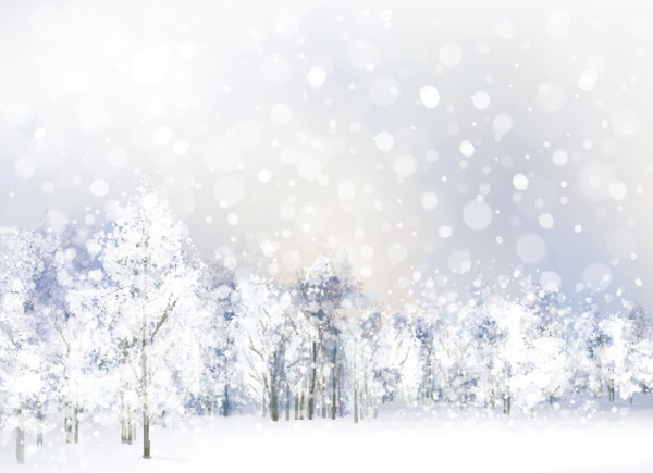 ѩ�غ�ɭ����ľ