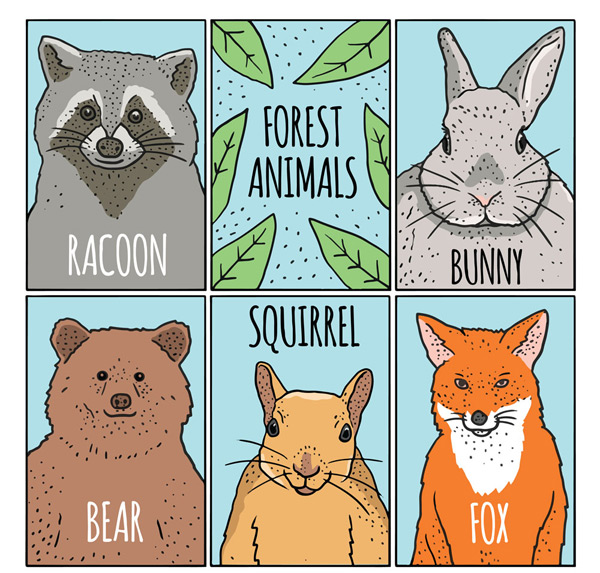 彩绘森林动物卡片