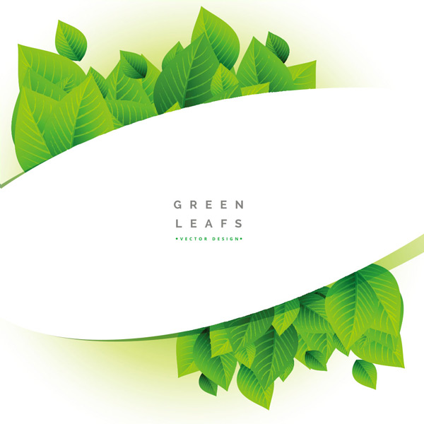 ��ɫ��Ҷ�߿򱳾�