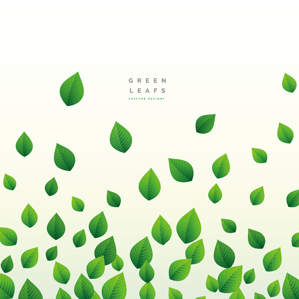 ������Ҷ�߿򱳾�