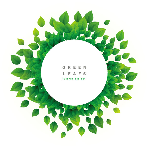 Բ����Ҷ�߿򱳾�