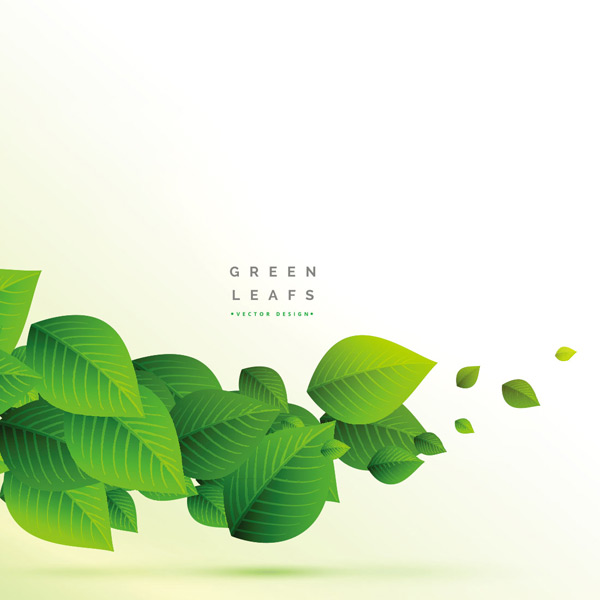 ��Ҷװ�α���