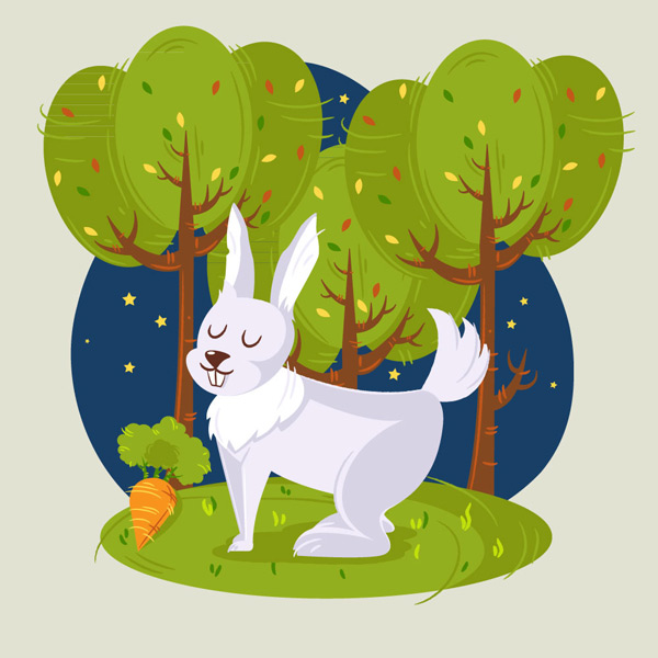 森林里的白兔