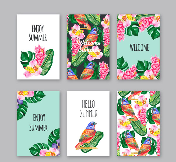 夏季热带花草卡片