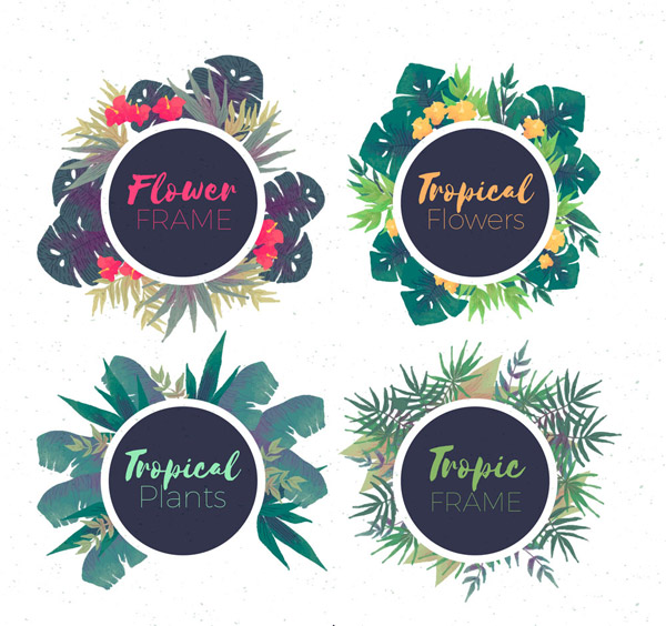 彩绘热带花卉框架