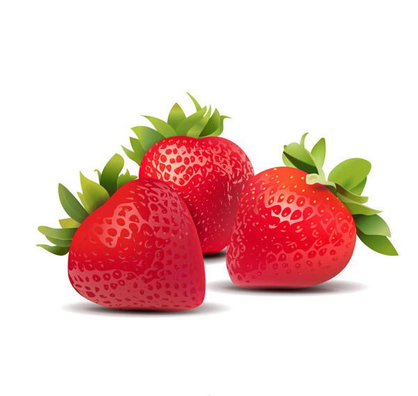 新鲜草莓矢量
