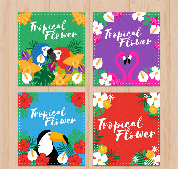 热带花鸟卡片