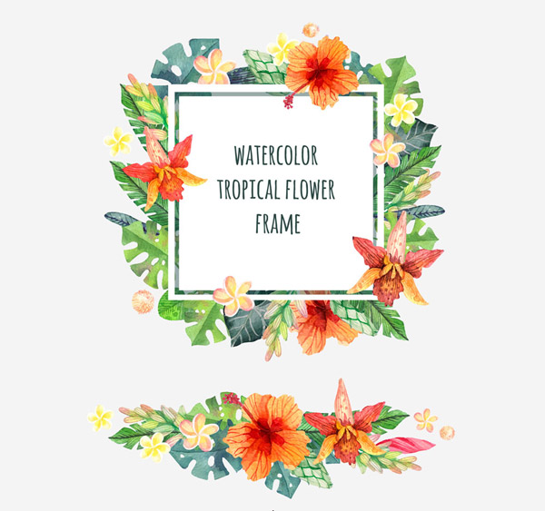 热带花卉框架