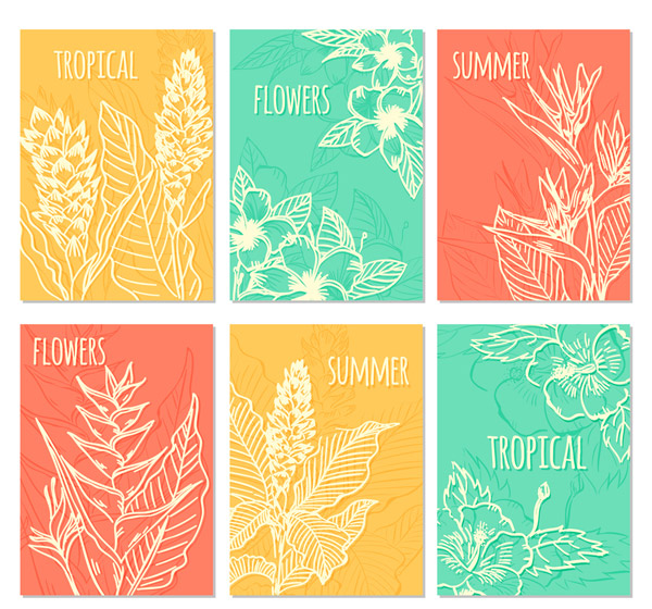 夏季热带植物卡片