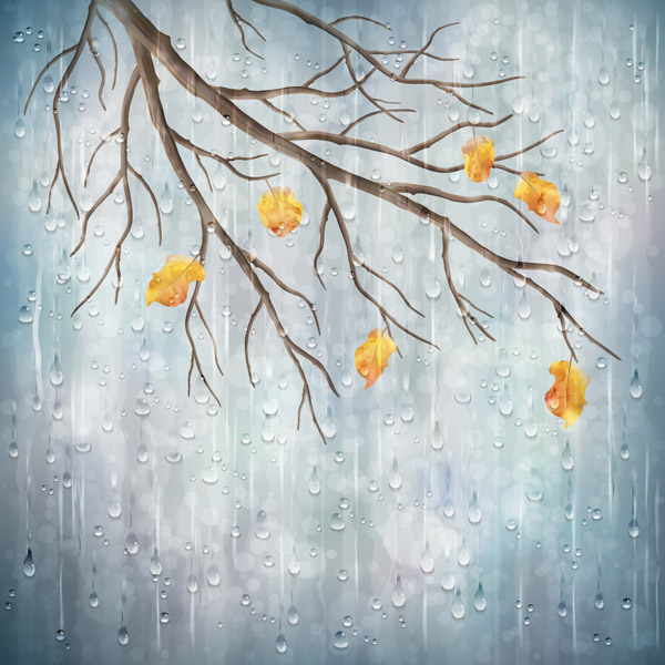 雨中的秋季树枝