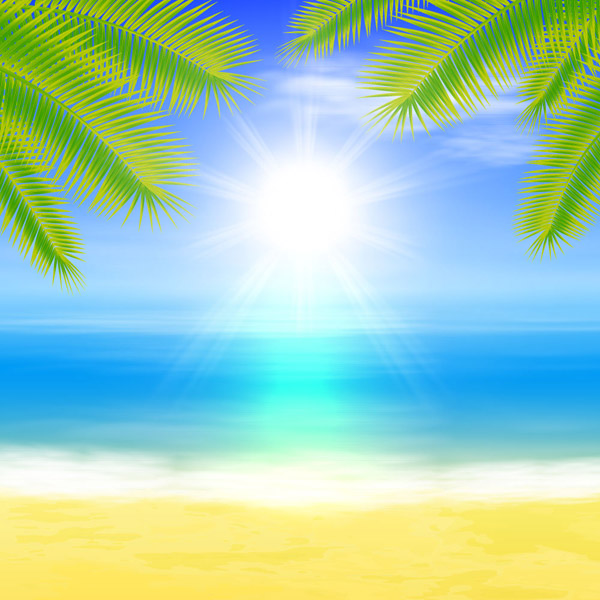 沙滩大海棕榈树