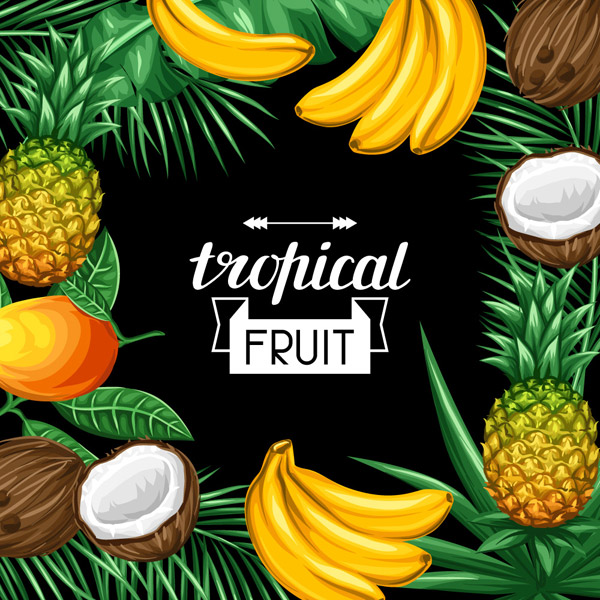 热带水果框架