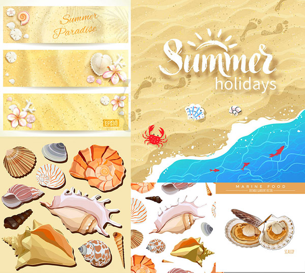 设计素材,banner,海螺,贝壳,花朵,沙子,黄沙,沙滩,脚印,海水,海边