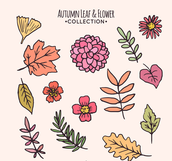 秋季树叶和花卉