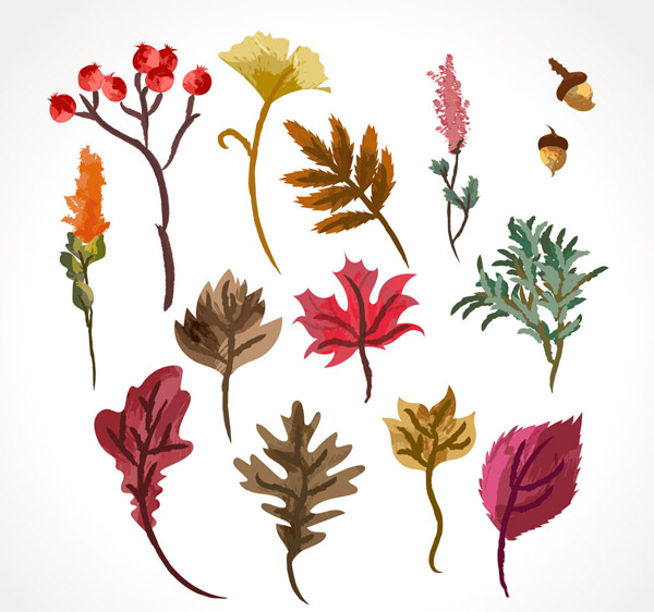彩绘秋季植物