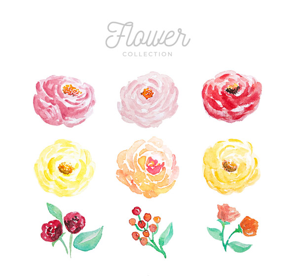 9款水彩绘花朵