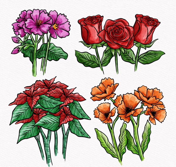 4组手绘彩色花束