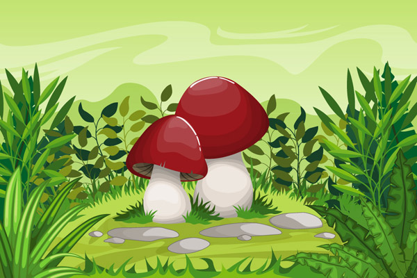草地里的蘑菇