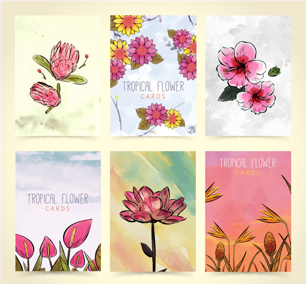 热带花卉卡片