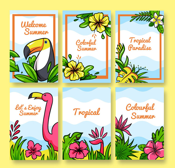 彩绘热带花鸟卡片