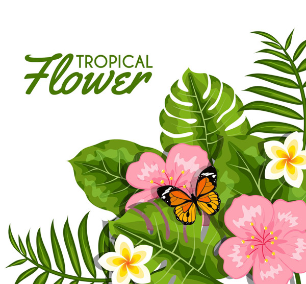 热带花卉和蝴蝶