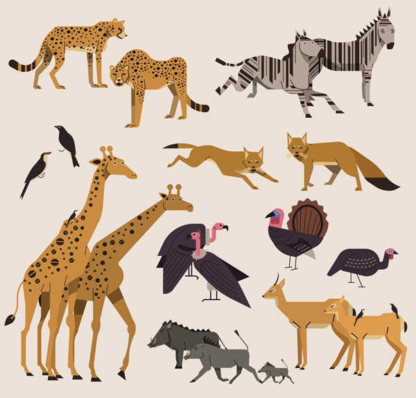 非洲野生动物