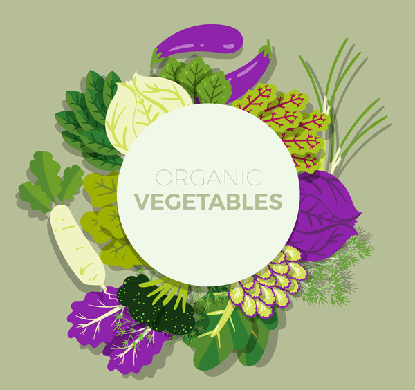 有机蔬菜框架
