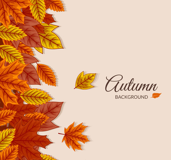 彩色秋季落叶背景