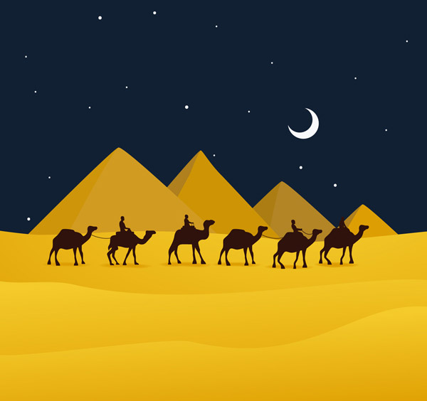 夜晚沙漠骆驼风景