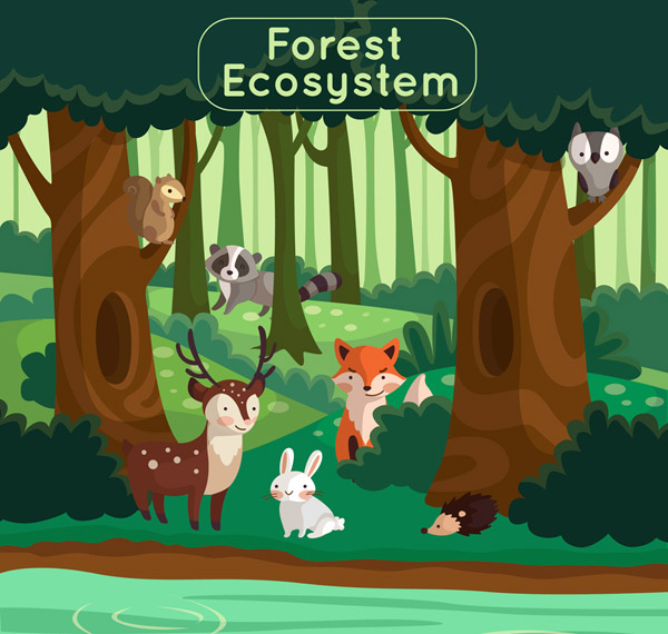 创意森林生态系统
