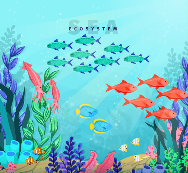彩色海底鱼群风景