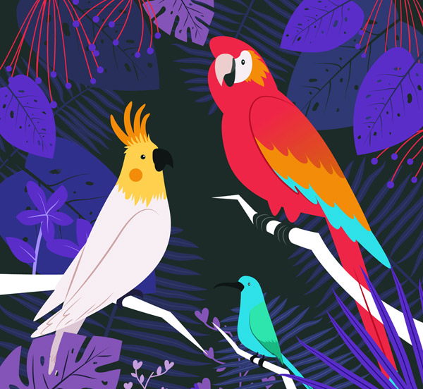 彩色热带树林鸟类
