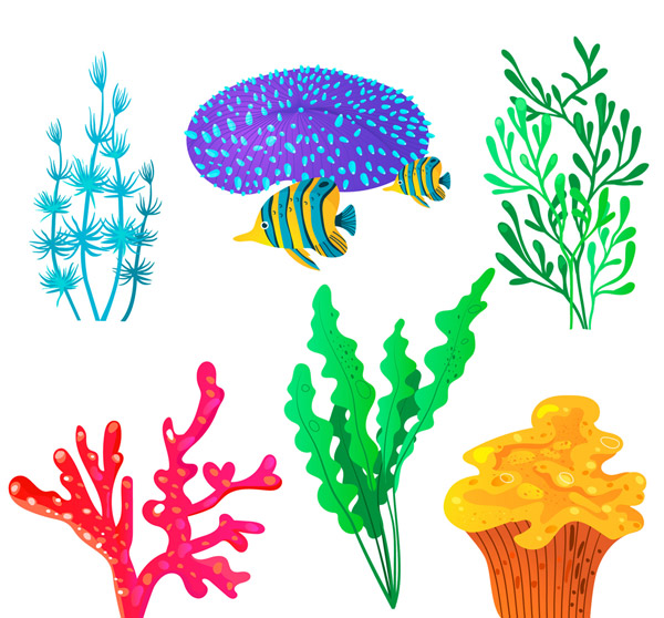 6款彩色珊瑚