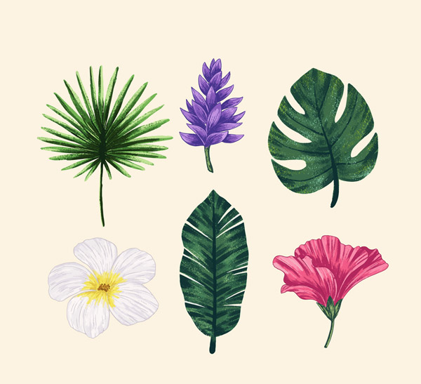 彩绘热带花朵和树叶