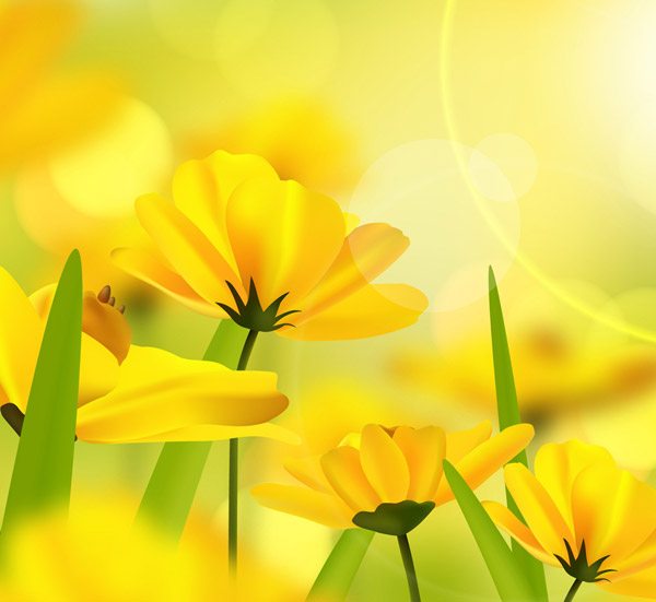 阳光下的黄色花卉