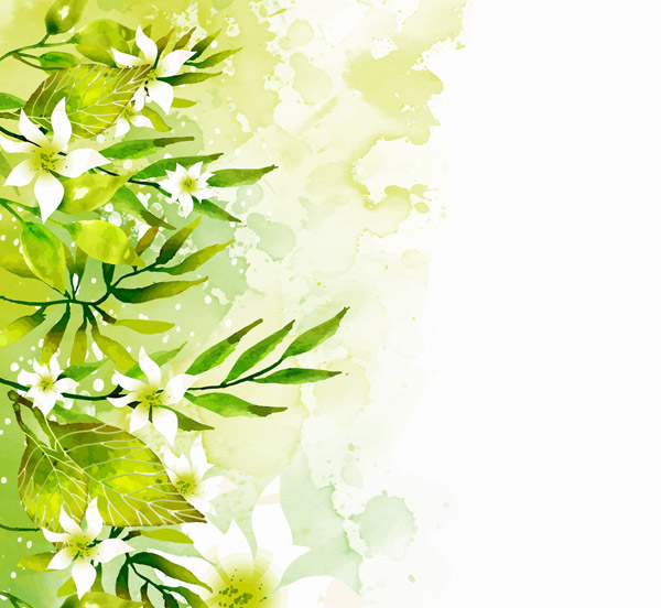 绿色树叶白色花卉