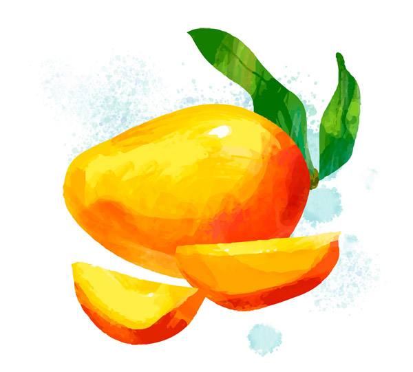水彩绘美味芒果