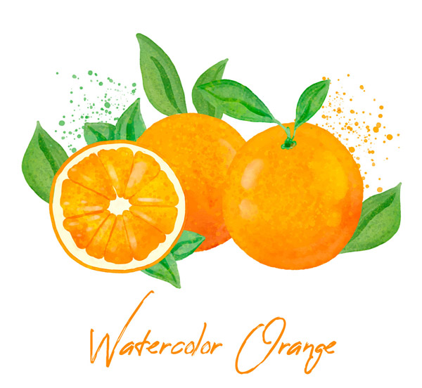 彩绘新鲜橙子