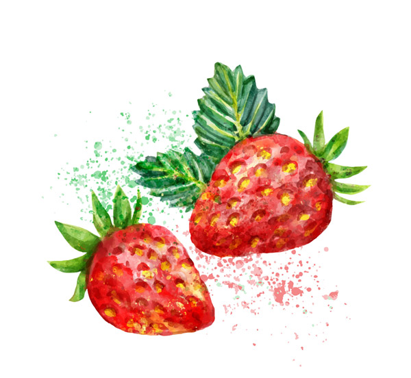 2个水彩绘草莓