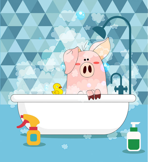 浴室洗澡的猪