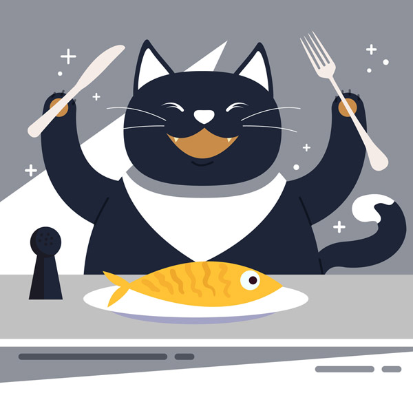 开心进餐的黑猫
