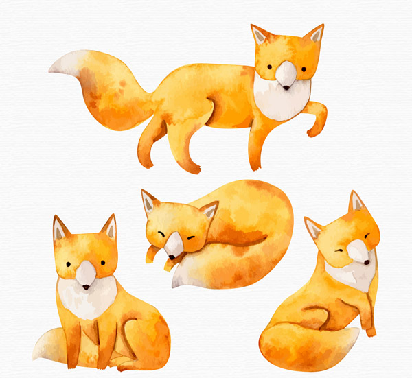 水彩绘狐狸